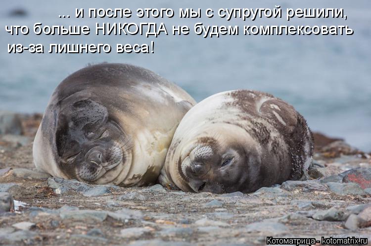 ... и после этого мы с супругой решили, что больше НИКОГДА не будем комплексовать из-за лишнего веса... Котоматрица: ... и после этого мы с супругой решили, что больше НИКОГДА не будем комплексовать из-за лишнего веса!