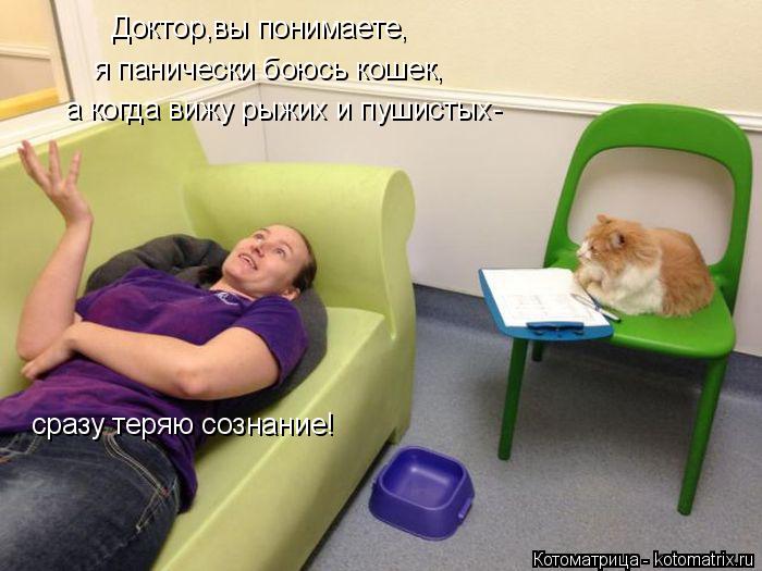 Доктор,вы понимаете, я панически боюсь кошек, а когда вижу рыжих и пушистых- сразу теряю сознание!... Котоматрица: Доктор,вы понимаете, я панически боюсь кошек, а когда вижу рыжих и пушистых- сразу теряю сознание!