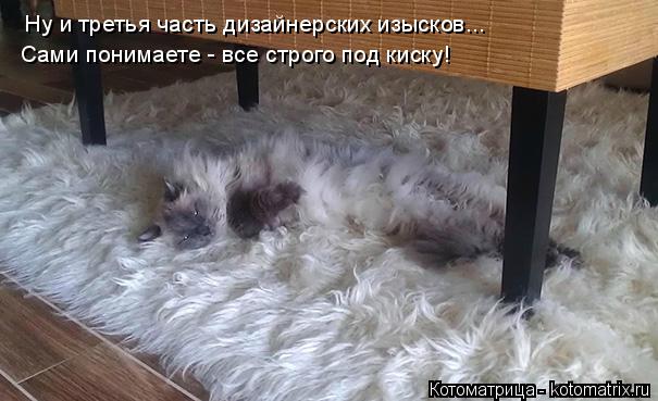 Ну и третья часть дизайнерских изысков... Сами понимаете - все строго под киску!... Котоматрица: Ну и третья часть дизайнерских изысков... Сами понимаете - все строго под киску!