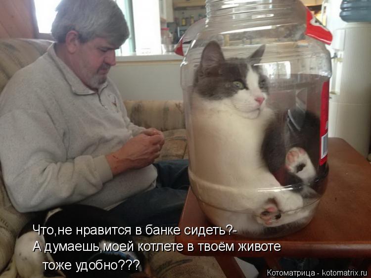 Что,не нравится в банке сидеть?- А думаешь,моей котлете в твоём животе тоже удобно???... Котоматрица: Что,не нравится в банке сидеть?- А думаешь,моей котлете в твоём животе тоже удобно???