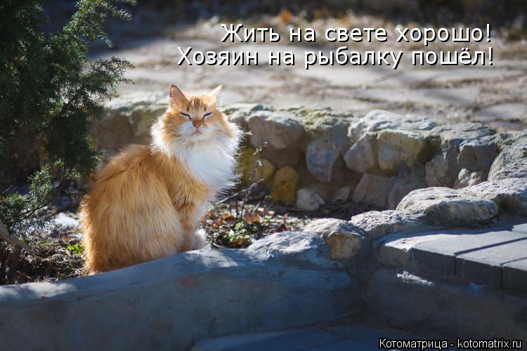 Жить на свете хорошо! Хозяин на рыбалку пошёл!... Котоматрица: Жить на свете хорошо! Хозяин на рыбалку пошёл!