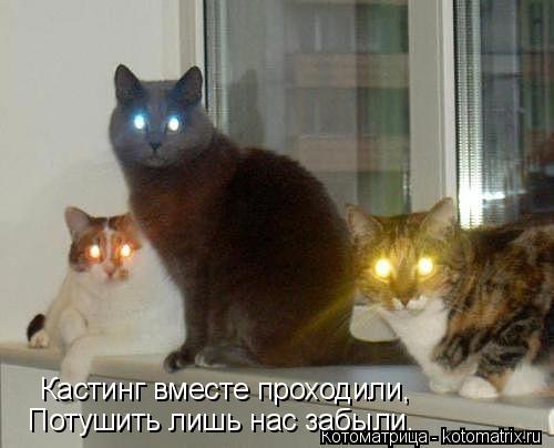 Котоматрица: Кастинг вместе проходили, Потушить лишь нас забыли.