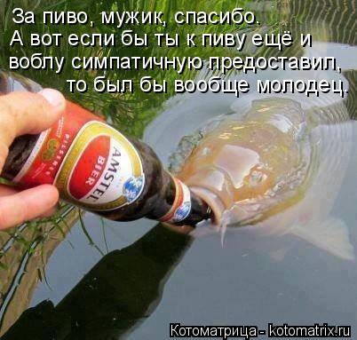 Котоматрица: За пиво, мужик, спасибо. А вот если бы ты к пиву ещё и  то был бы вообще молодец. воблу симпатичную предоставил,