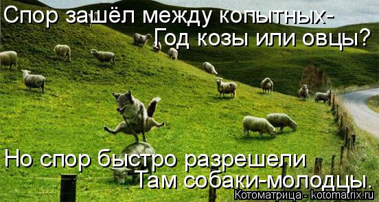 Котоматрица: Спор зашёл между копытных- Год козы или овцы? Но спор быстро разрешели Там собаки-молодцы.