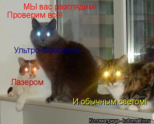 МЫ вас разглядим! Проверим всё! Лазером Ультро-Феолетом И обычным светом!... Котоматрица: МЫ вас разглядим! Проверим всё! Лазером Ультро-Феолетом И обычным светом!