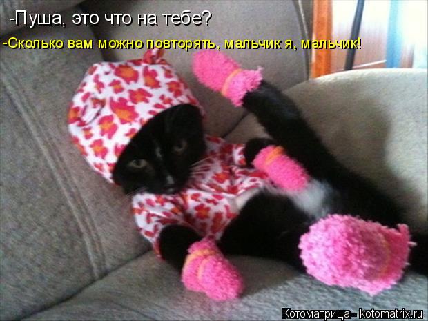 Котоматрица: -Сколько вам можно повторять, мальчик я, мальчик! -Пуша, это что на тебе?