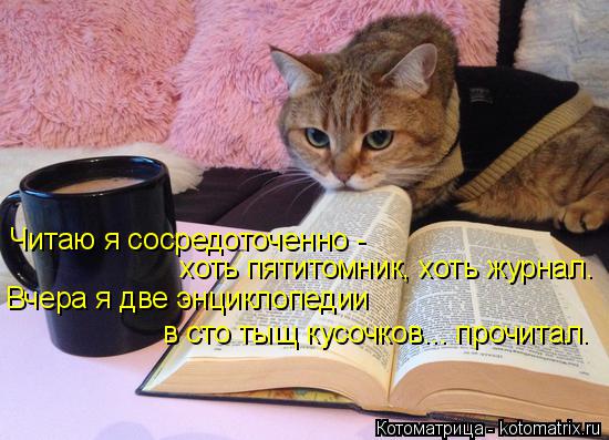 Читаю я сосредоточенно - хоть пятитомник, хоть журнал. Вчера я две энциклопедии в сто тыщ кусочков..... Котоматрица: Читаю я сосредоточенно - хоть пятитомник, хоть журнал. Вчера я две энциклопедии в сто тыщ кусочков... прочитал.
