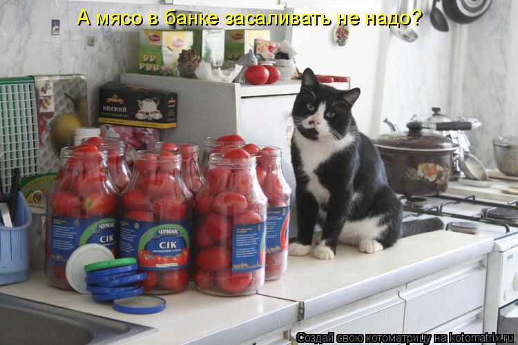 А мясо в банке засаливать не надо?... Котоматрица: А мясо в банке засаливать не надо?