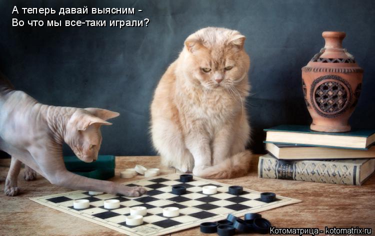 А теперь давай выясним - Во что мы все-таки играли?... Котоматрица: А теперь давай выясним - Во что мы все-таки играли?