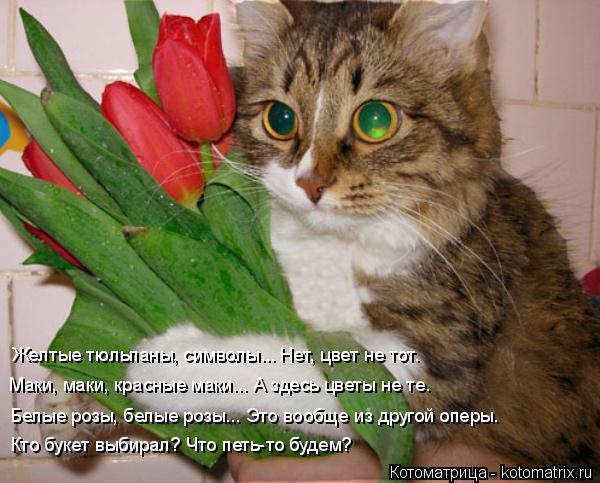 Белые розы, белые розы... Это вообще из другой оперы. Маки, маки, красные маки... А здесь цветы не те... Котоматрица: Белые розы, белые розы... Это вообще из другой оперы. Маки, маки, красные маки... А здесь цветы не те. Желтые тюльпаны, символы... Нет, цвет не тот.