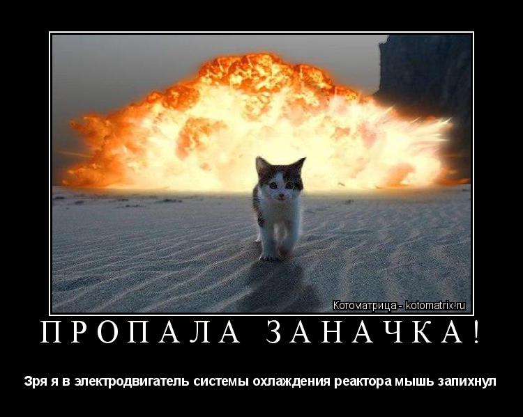 Котоматрица: ПРОПАЛА ЗАНАЧКА! Зря я в электродвигатель системы охлаждения реактора мышь запихнул