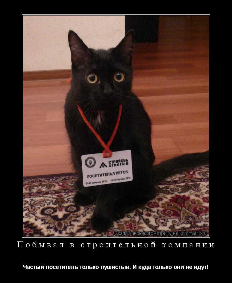 Котоматрица: Побывал в строительной компании Частый посетитель только пушистый. И куда только они не идут!