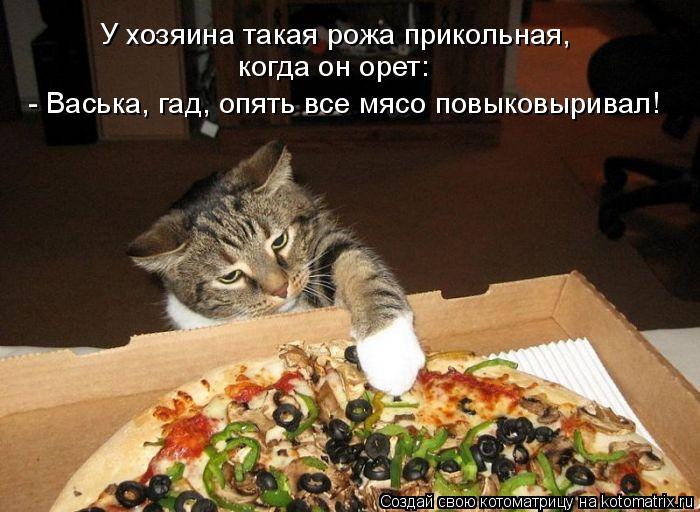 Котоматрица: У хозяина такая рожа прикольная, когда он орет:  - Васька, гад, опять все мясо повыковыривал!