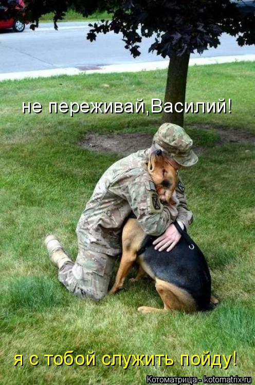 Котоматрица: не переживай,Василий! я с тобой служить пойду!