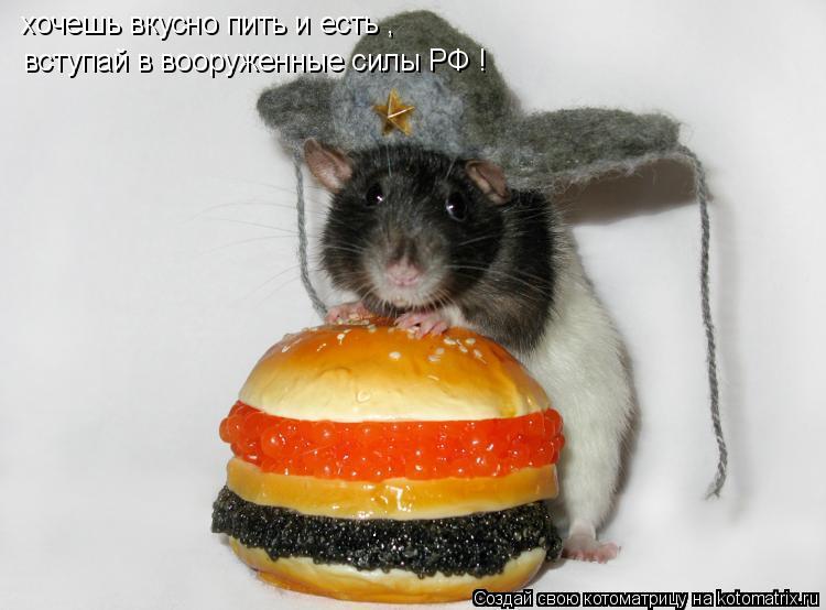 хочешь вкусно пить и есть , вступай в вооруженные силы РФ !... Котоматрица: хочешь вкусно пить и есть , вступай в вооруженные силы РФ !