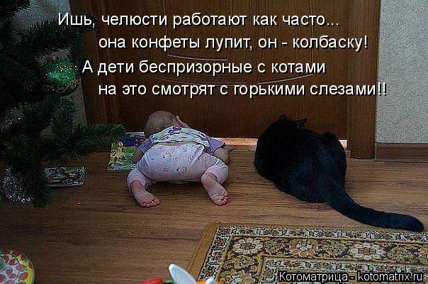Котоматрица: Ишь, челюсти работают как часто... она конфеты лупит, он - колбаску! А дети беспризорные с котами на это смотрят с горькими слезами!!