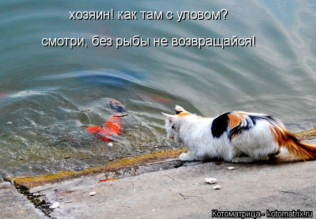 Котоматрица: хозяин! как там с уловом? смотри, без рыбы не возвращайся!