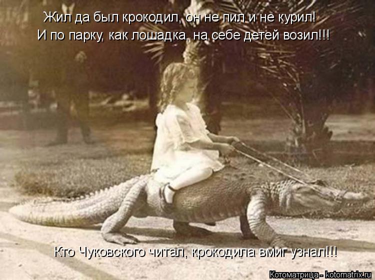 Котоматрица: И по парку, как лошадка, на себе детей возил!!! Жил да был крокодил, он не пил и не курил! Кто Чуковского читал, крокодила вмиг узнал!!!