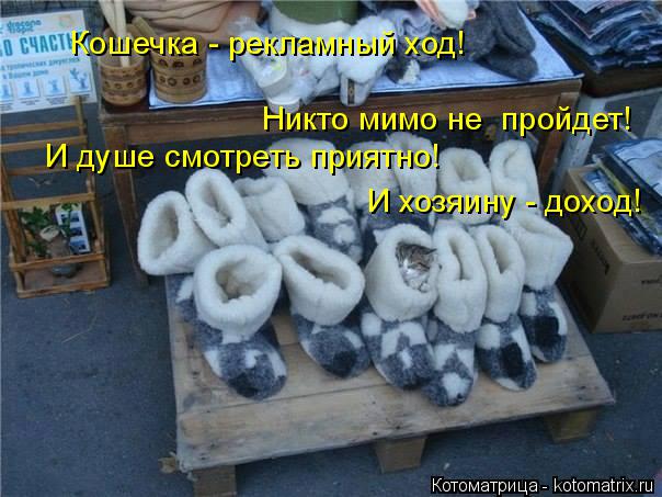 Котоматрица: Никто мимо не  пройдет! Кошечка - рекламный ход! И хозяину - доход! И душе смотреть приятно!