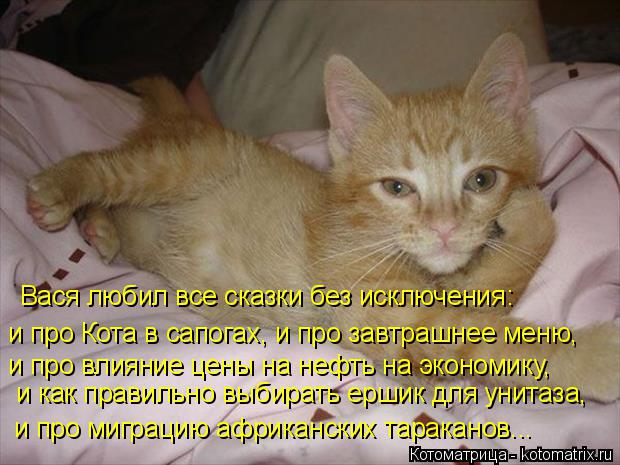 Вася любил все сказки без исключения: и про Кота в сапогах, и про завтрашнее меню, и про влияние цены... Котоматрица: Вася любил все сказки без исключения: и про Кота в сапогах, и про завтрашнее меню, и про влияние цены на нефть на экономику, и как правильно в