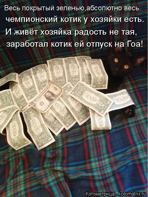 Котоматрица: Весь покрытый зеленью,абсолютно весь. чемпионский котик у хозяйки есть. И живёт хозяйка радость не тая, заработал котик ей отпуск на Гоа!