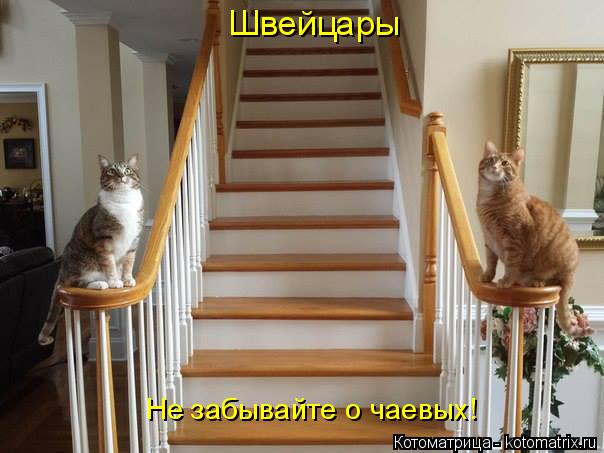 Котоматрица: Швейцары Не забывайте о чаевых!