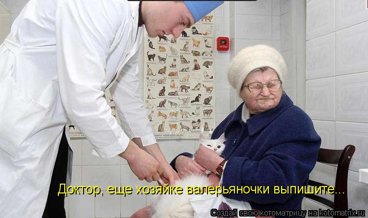 Котоматрица: Доктор, еще хозяйке валерьяночки выпишите...
