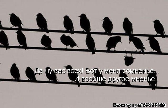 Котоматрица: Да ну вас всех! Вот у меня сомненье... И вообще другое мненье!