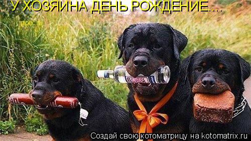 Котоматрица: У ХОЗЯИНА ДЕНЬ РОЖДЕНИЕ....