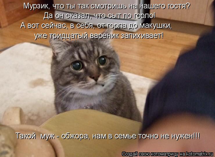 Котоматрица: Мурзик, что ты так смотришь на нашего гостя? Да он сказал, что сыт по горло! А вот сейчас, в себя, от горла до макушки, уже тридцатый вареник за
