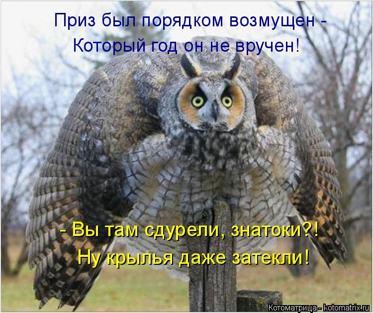 Приз был порядком возмущен - Который год он не вручен! - Вы там сдурели, знатоки?! Ну крылья даже зат... Котоматрица: Приз был порядком возмущен - Который год он не вручен! - Вы там сдурели, знатоки?! Ну крылья даже затекли!