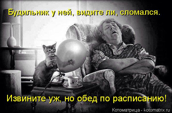 Будильник у ней, видите ли, сломался. Извините уж, но обед по расписанию!... Котоматрица: Будильник у ней, видите ли, сломался. Извините уж, но обед по расписанию!