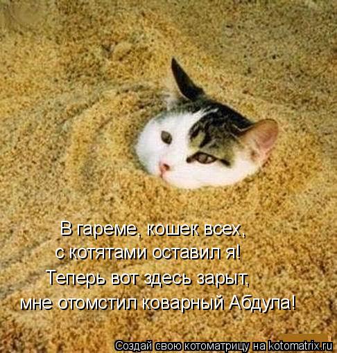 Котоматрица: В гареме, кошек всех,  с котятами оставил я! Теперь вот здесь зарыт, мне отомстил коварный Абдула!