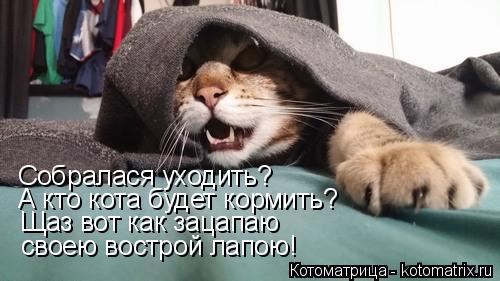 Котоматрица: Щаз вот как зацапаю своею вострой лапою! Собралася уходить? А кто кота будет кормить?