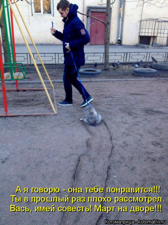 Котоматрица: А я говорю - она тебе понравится!!! Ты в прошлый раз плохо рассмотрел. Вась, имей совесть! Март на дворе!!!