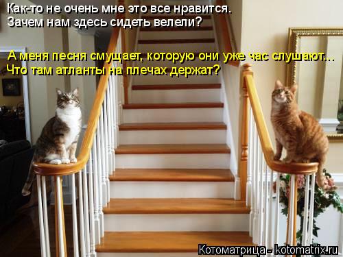 Котоматрица: Как-то не очень мне это все нравится.  Зачем нам здесь сидеть велели? А меня песня смущает, которую они уже час слушают... Что там атланты на пл