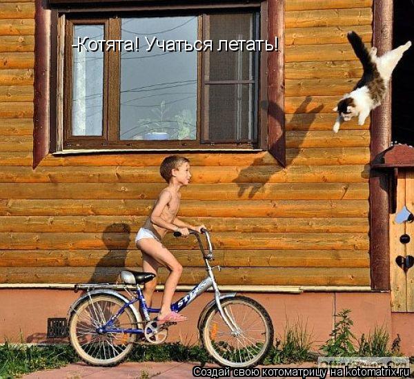 Котоматрица: -Котята! Учаться летать!