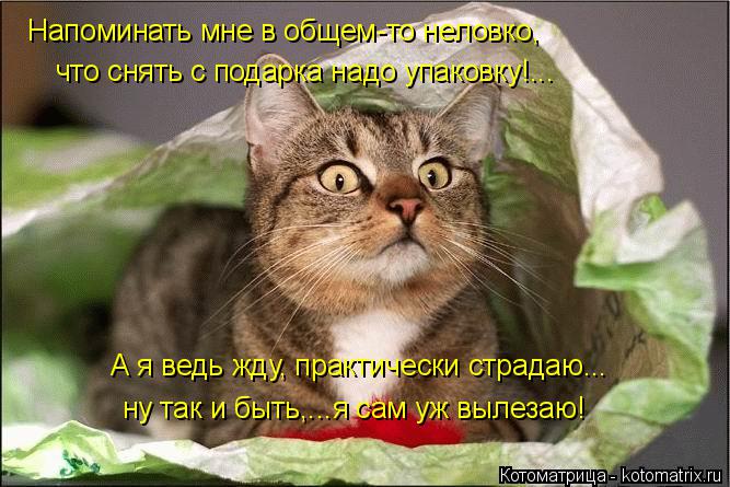Котоматрица: Напоминать мне в общем-то неловко, что снять с подарка надо упаковку!... А я ведь жду, практически страдаю... ну так и быть,...я сам уж вылезаю!