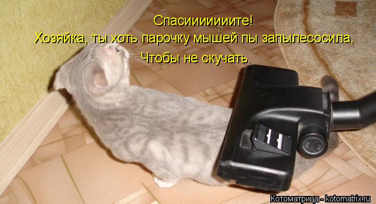 Котоматрица: Спасииииииите! Хозяйка, ты хоть парочку мышей пы запылесосила, Чтобы не скучать.