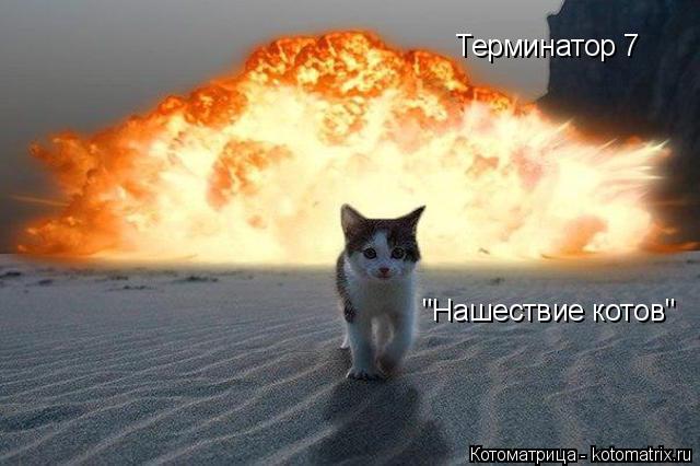 Терминатор 7 "Нашествие котов"... Котоматрица: Терминатор 7 "Нашествие котов"
