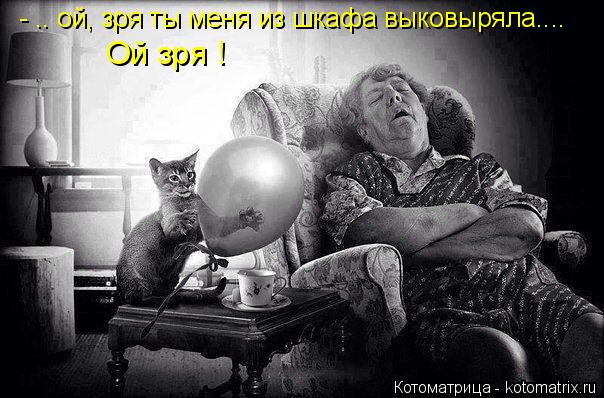 Котоматрица: - .. ой, зря ты меня из шкафа выковыряла.... Ой зря !