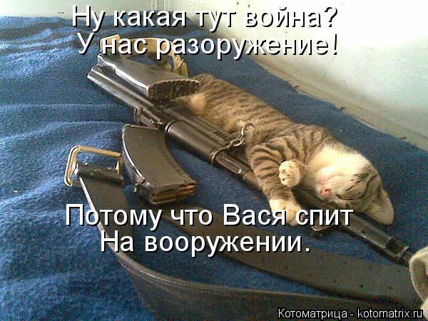 Котоматрица: Ну какая тут война? У нас разоружение! Потому что Вася спит На вооружении.