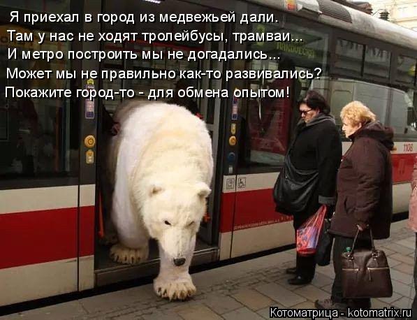 Котоматрица: Я приехал в город из медвежьей дали. Там у нас не ходят тролейбусы, трамваи... И метро построить мы не догадались... Может мы не правильно как-т