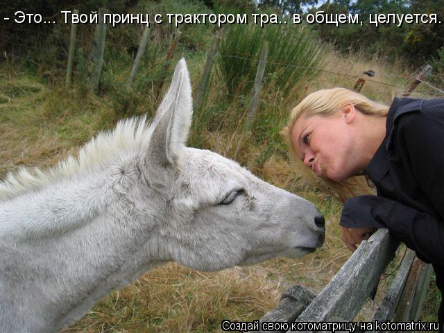 - Это... Твой принц с трактором тра.. в общем, целуется...... Котоматрица: - Это... Твой принц с трактором тра.. в общем, целуется...