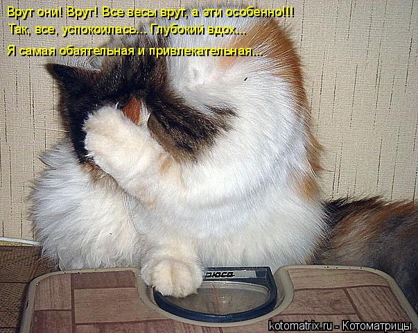 Врут они! Врут! Все весы врут, а эти особенно!!! Так, все, успокоилась... Глубокий вдох... Я самая об... Котоматрица: Врут они! Врут! Все весы врут, а эти особенно!!! Так, все, успокоилась... Глубокий вдох... Я самая обаятельная и привлекательная...
