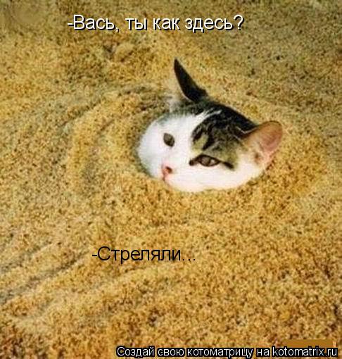 Котоматрица: -Вась, ты как здесь? -Стреляли...