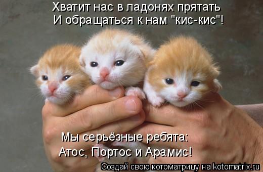 Котоматрица: Хватит нас в ладонях прятать  И обращаться к нам "кис-кис"! Атос, Портос и Арамис! Мы серьёзные ребята: