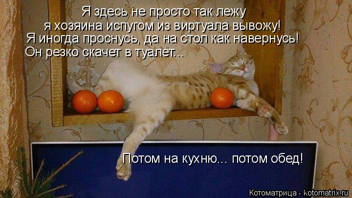 Котоматрица: Я здесь не просто так лежу я хозяина испугом из виртуала вывожу! Я иногда проснусь, да на стол как навернусь! Он резко скачет в туалет... Потом