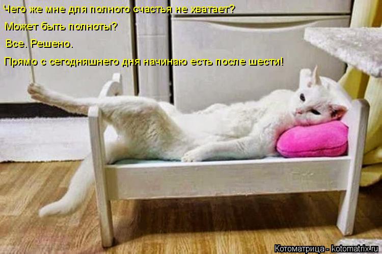 Котоматрица: Чего же мне для полного счастья не хватает? Может быть полноты? Все. Решено. Прямо с сегодняшнего дня начинаю есть после шести!