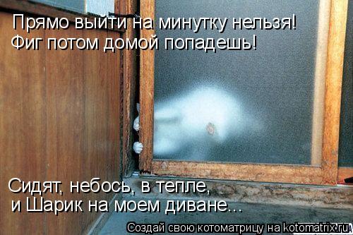Котоматрица: Прямо выйти на минутку нельзя! Фиг потом домой попадешь! Сидят, небось, в тепле, и Шарик на моем диване...